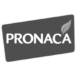 pronaca_1-8